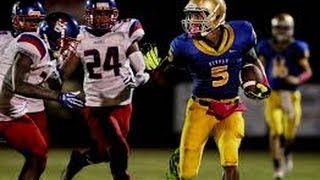 Travis Rudolph FSU 2013 Senior Season Highlights HD [upl. by Celestyn]