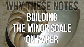 Building the Minor Scale on Paper Why These Notes [upl. by Ahsinhoj]