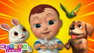 I Love My Pet Song  Animals For Babies  Meekos Family [upl. by Uahc]