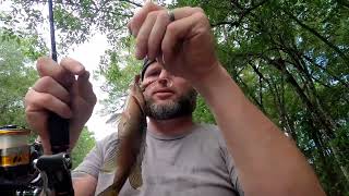 Ultralight Fishing the Headwaters [upl. by Aicirt]