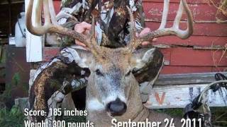 THE BIGGEST WHITETAIL HARVEST EVER CAPTURED ON A TRAIL CAMERA [upl. by Rauch]