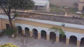 Gurdwara Kartarpur Sahib Pakistan [upl. by Mchale218]