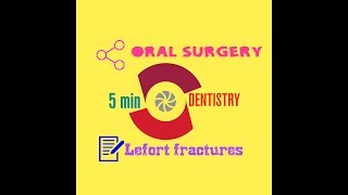 LEFORT FRACTURE LINES  ORAL SURGERY [upl. by Leiram151]