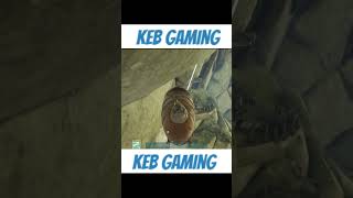 Pro vs Noob ARK GasBag gaming arksurvivalevolved arkcommunity [upl. by Naelcm]