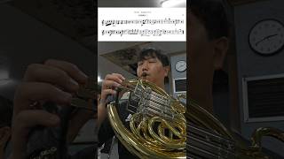 ADvorak Symphony No8 2nd mov Hornㅣ드보르작 교향곡 8번 제1호른 [upl. by Javler]