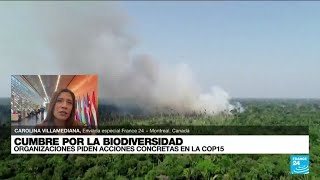 Informe desde Montreal organizaciones ambientales piden acciones concretas en la COP15 [upl. by Aiyot804]