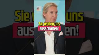 So wollen Sie uns ausschalten aliceweidel [upl. by Gninnahc58]