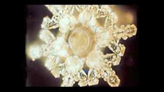 Masaru Emoto  Water Experiments [upl. by Kling]