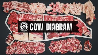 A Visual Guide to the Cuts of a Cow Where Every Beef Cut Comes From  By The Bearded Butchers [upl. by Noffihc]