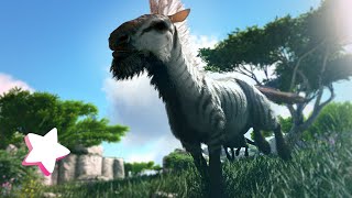 TAMING AN EQUUS IS EASY HERES HOW  VALGUERO  ARK SURVIVAL EVOLVED [upl. by Chamberlin915]