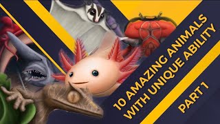 10 Amazing Animals With Unique Ability  Part 1  Open Book [upl. by Calesta706]