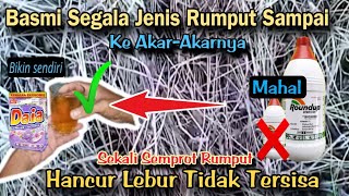 cara membuat racun rumput dari soklin  Herbisida racun rumput paling efektif membunuh rumput liar [upl. by Naujet]