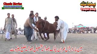 Horse Dance Jashne Bodla Bahar Day 2nd 2017 Abadi Shahbaz Nagar Pakpattan 23 [upl. by Eelirol]