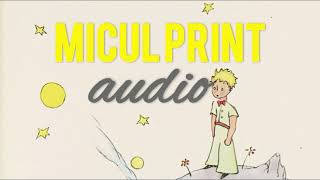 Micul Print cu ilustratiile autorului  carti audio [upl. by Chae]