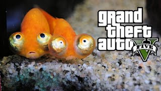 GTA V  TOUS LES PEYOTES  LE POISSON [upl. by Effy32]