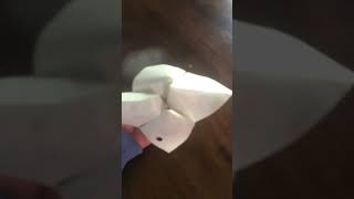 Cootie catcher ￼￼￼with fans [upl. by Maury]