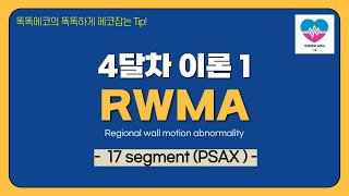 RWMA  17 segment PSAX 심장분절  segement echocardiography 심장초음파 똑똑에코TTE RWMA wall motion [upl. by Nachison367]