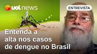 Dengue em alta no Brasil Médico tira dúvida sobre aumento de casos vacinação pelo SUS e mais [upl. by Ciredec]