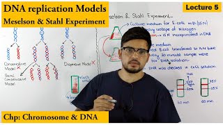 A Level Biology Revision quotConservative vs Semiconservative DNA replicationquot [upl. by Inigo]