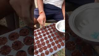 Pro tray me tomato seeds kaise dale tomatos farming [upl. by Aramat615]