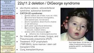 Primary immunodeficiency disorders [upl. by Modesty]