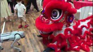 Lion dance performance with robot during CNY dinner on 23 Feb 24  Taylors University [upl. by Werdn561]