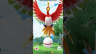 Catching Ho oh pokemon with excellent throws pokemongo pokemon hooh legendary [upl. by Nitreb911]