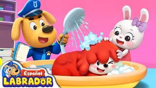 🔍Sheriff Labrador  Mi Mascota No Quiere Bañarse 🛁  Videos para Niños  BabyBus en Español [upl. by Serolod]