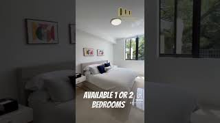 Brand New apartment for rent Miami Health District [upl. by Raney207]