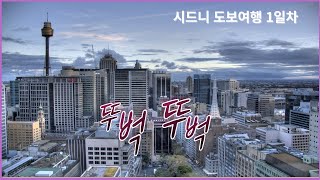 호주 시드니 뚜벅이 여행 01편Sydney downtown [upl. by Anela967]