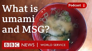 What is umami and MSG  The Food Chain podcast BBC World Service [upl. by Weirick]