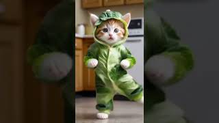 🤣 Beast cat dance 🩰 trending music fukkut funny 🤣 সুন্দরী মেকুরের সুন্দর নাচ shrot [upl. by Carole]