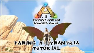 ARK Scorched Earth  How to tame a Lymantria  Tutorial [upl. by Lodnar]