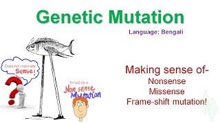 Genetic mutation Missense Nonsense make sense here Bangla [upl. by Randall]