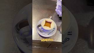 L’affogato al caffè più famoso del Mondo food [upl. by Amitak61]