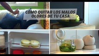 Cómo quitar los malos olores de tu hogar [upl. by Amle371]