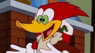 Woodys great Christmas debate  Woody Woodpecker [upl. by Chip]