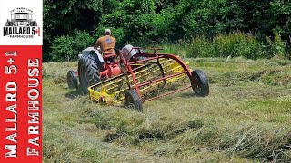 Baling Hay 2024  Our Hay Making Journey SHORT VIDEO [upl. by Euqirat]