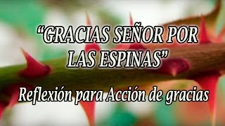 Reflexión para Acción de gracias quotGracias Señor por las espinasquot [upl. by Errol637]