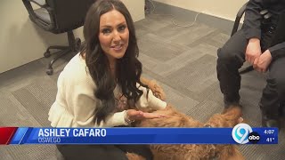 Oswego City Police Dept adds new comfort dog [upl. by Cown]