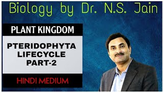 PteridophytaLife Cycle Plant Kingdom Part2  Hindi Medium [upl. by Gnouv]