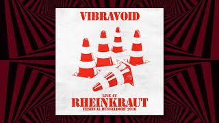 Vibravoid  Live At Rheinkraut Festival 2018 [upl. by Orme]