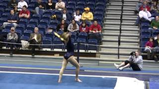 Kelsey Ainsworth 2010 Pitt vs Ohio State Floor [upl. by Abroms837]