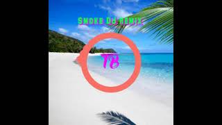 Illenium Crazy times DJ Smoke remix   Vanuatu remix 2021🇻🇺 [upl. by Sukramed]