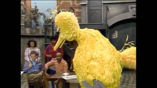 Classic Sesame Street  Big Bird learns what it means when someone dies RIP Mr Hooper [upl. by Thornburg862]