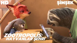 Zootropolis  Şimşek Bir Bilmece Sorayım Mı   Türkçe Dublaj Animasyon Kesitleri İzle HD [upl. by Anived]