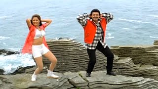 Venkatesh Laila Superhit Video Song  Guma Guma Lade America Andam Song  Pelli Chesukundam Songs [upl. by Gaal]