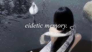 1X ★ eidetic memory [upl. by Namlas]