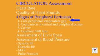 CirculationPart IHow do I assess [upl. by Ecirtnahc]