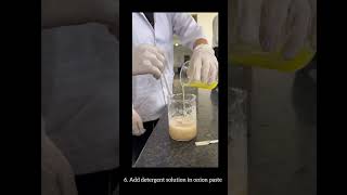 DNA Isolation from Onion  MPharm Research Lab Insight [upl. by Swift]